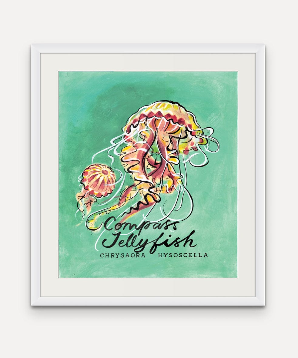 Jellyfish - Cornish Sea Life series - Giclée Print