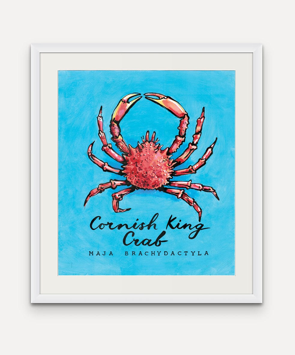 Cornish King Crab - Cornish Sea Life Series - Giclée Print
