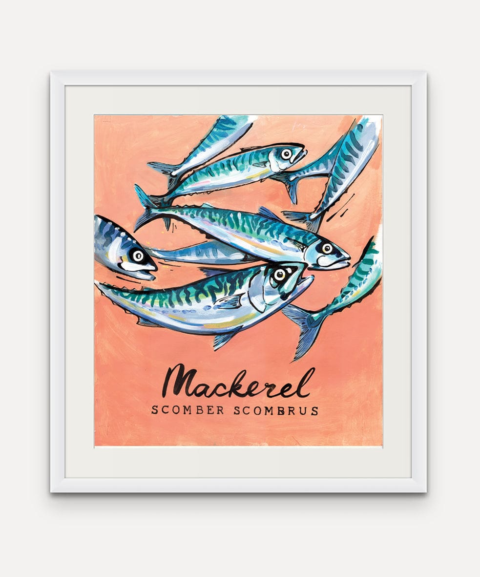 Mackerel - Cornish Sea Life Series - Giclée Print