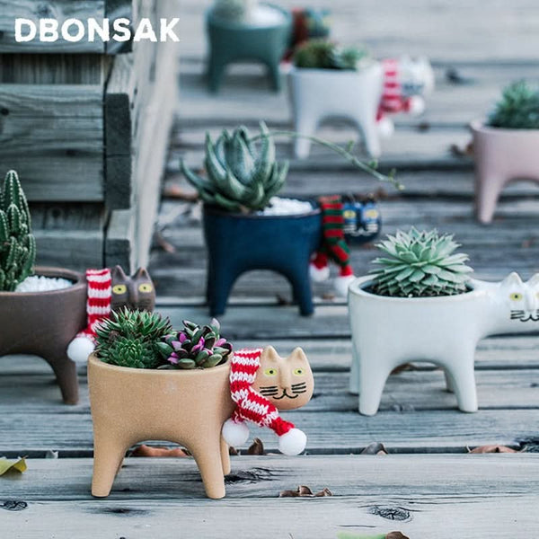 Ceramic Cat Plant Pot for the Kitchen
