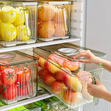Storage Containers for Fridge eprolo