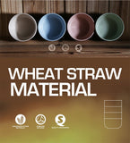 4PC/Set Wheat Fiber Snack Bowls eprolo