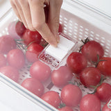 Kitchen Refrigerator Storage Box eprolo