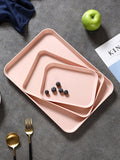 Stylish Nordic Tray eprolo