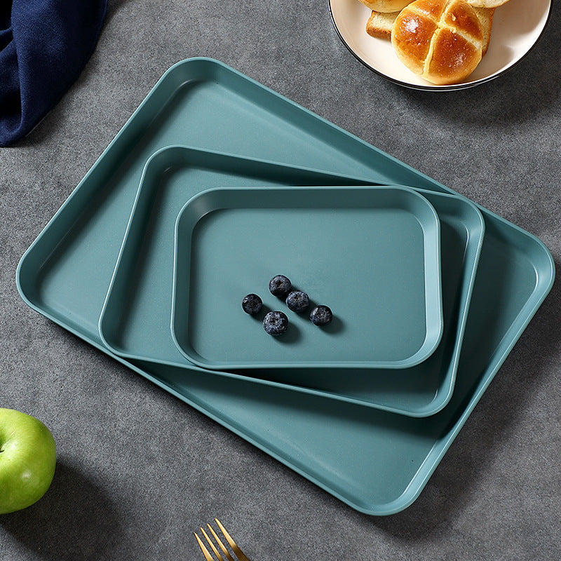 Stylish Nordic Tray eprolo